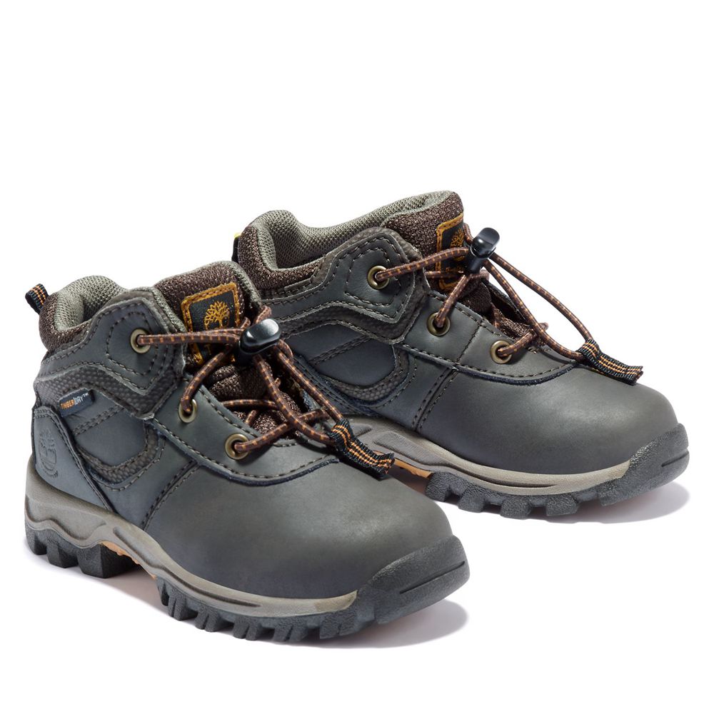 Timberland Kids Hiking Boots Toddler Mt. Maddsen Waterproof - Brown - India KP7285610